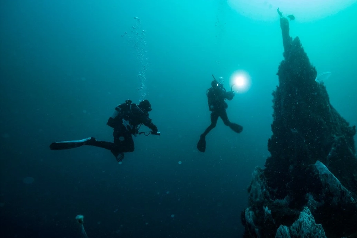 African Scuba and Safari