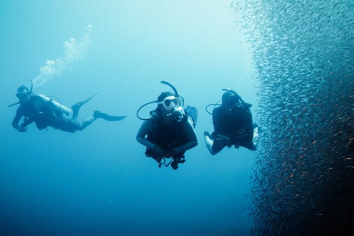 African Scuba and Safari