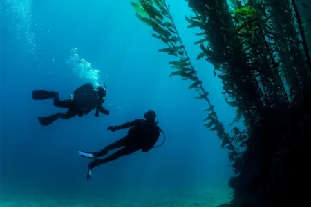 PADI Deep Diver