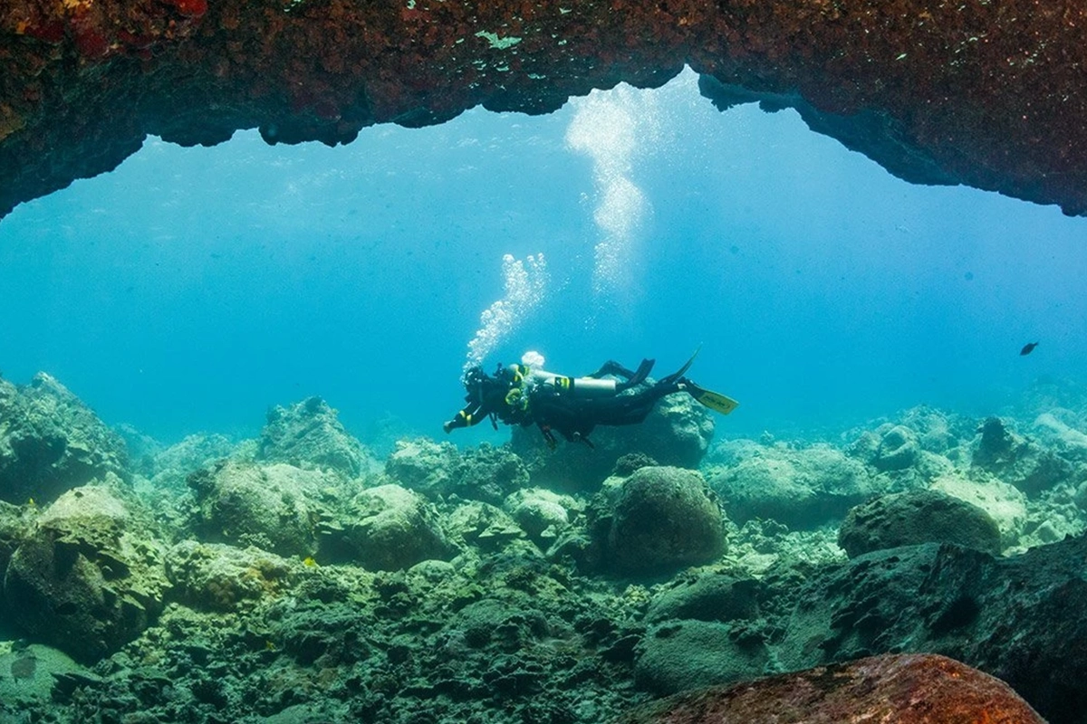 African Scuba and Safari