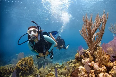 PADI Open Water Diver