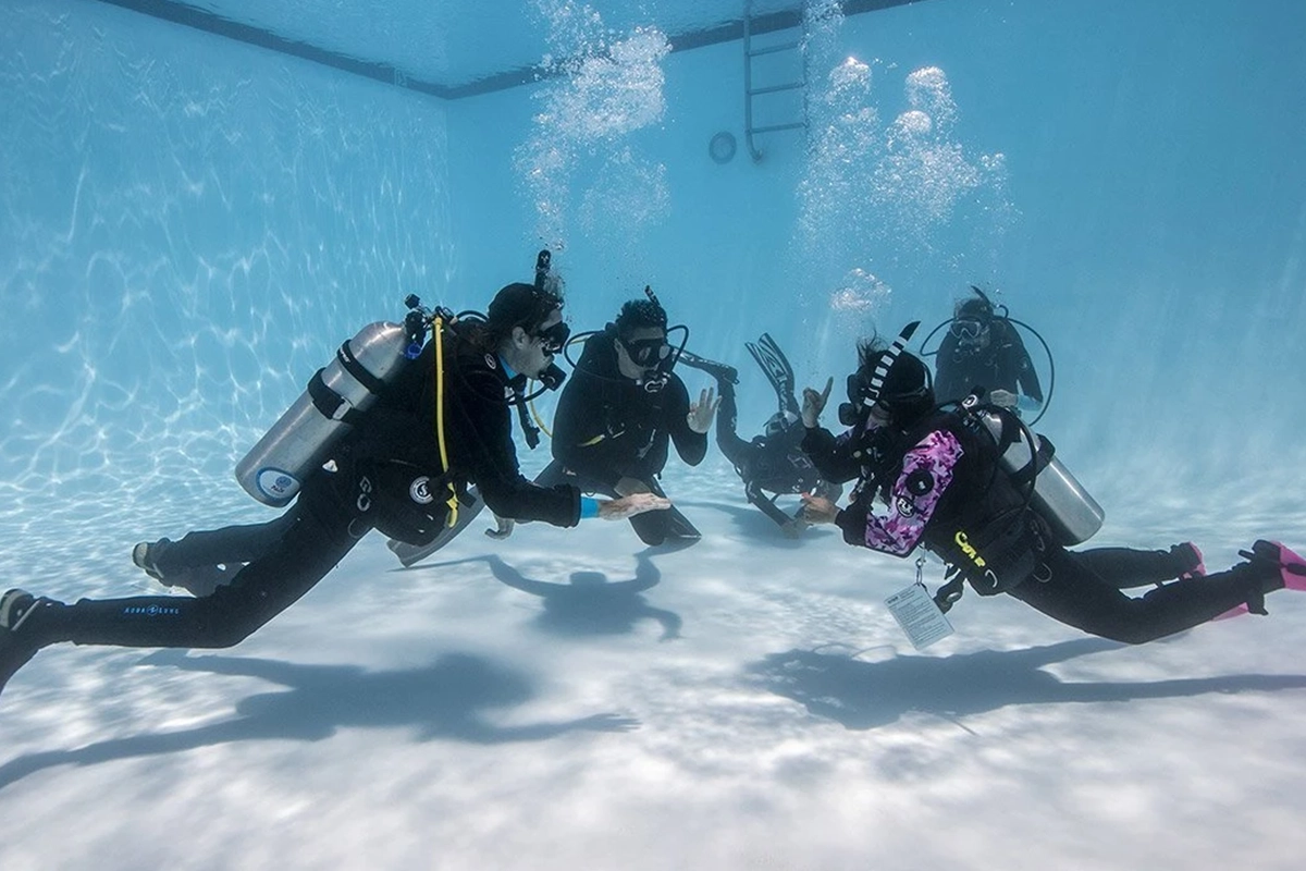 African Scuba and Safari