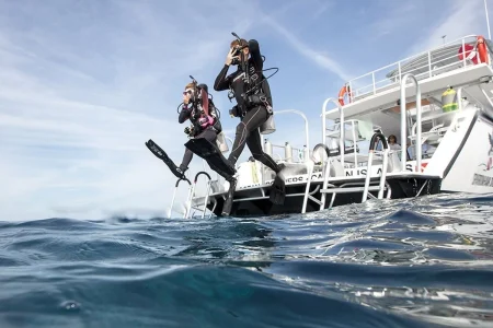 PADI ReActivate Scuba Refresher Program