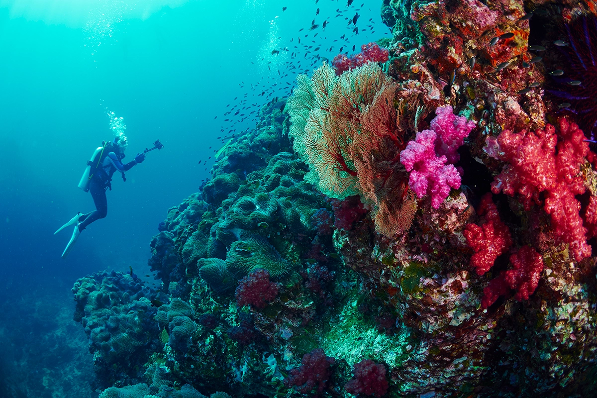 African Scuba and Safari