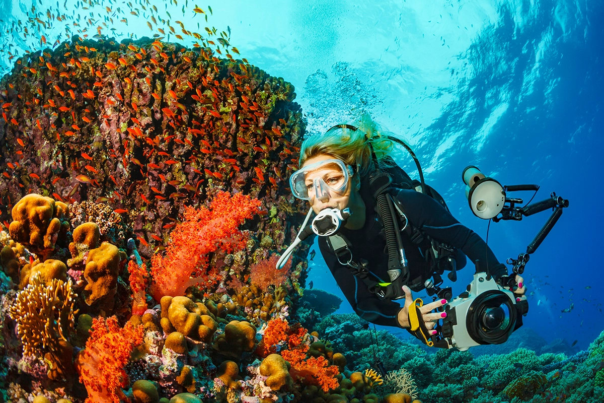 African Scuba and Safari