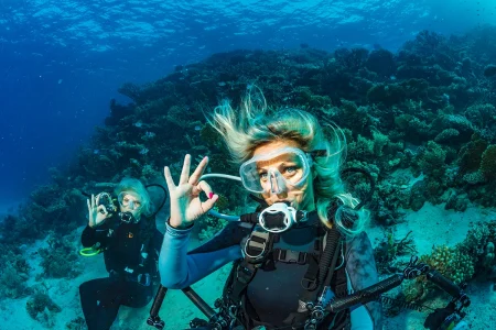 Top 21 Hand Signals Every Scuba Diver Should Know