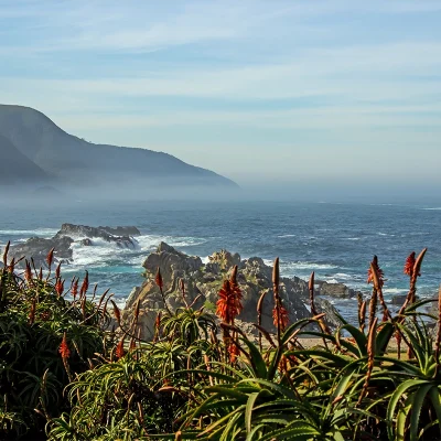 Garden Route