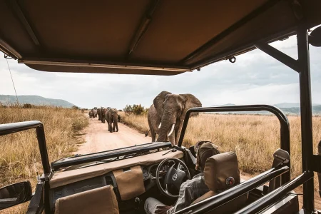 Kruger Park Weekend Getaway