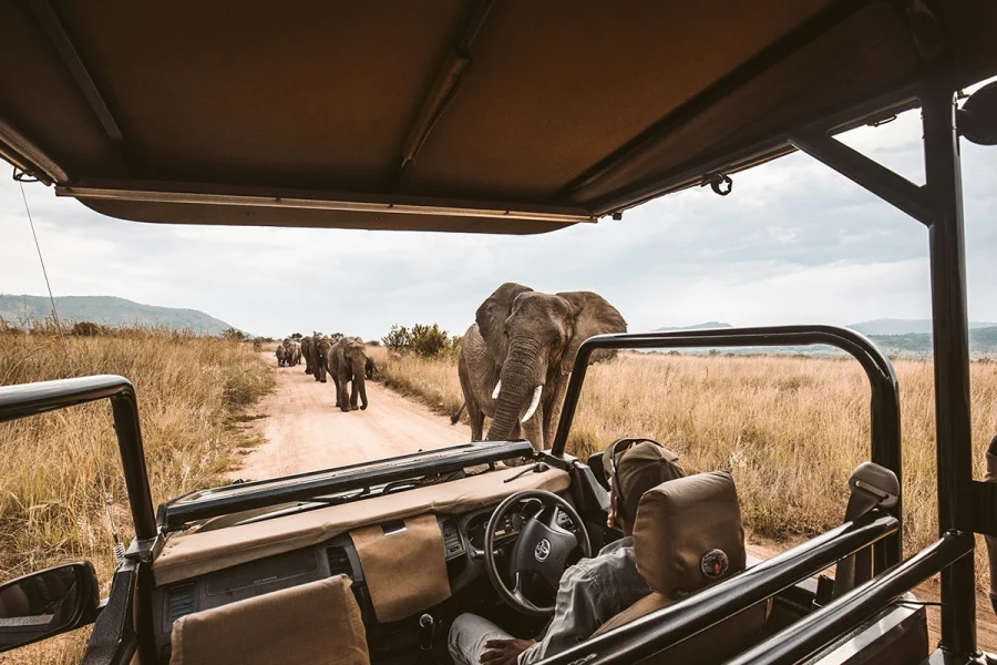 Kruger Park Weekend Getaway