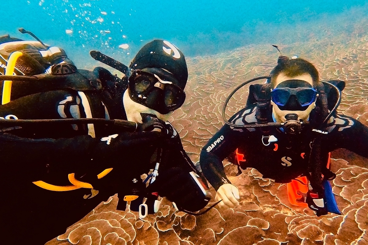 African Scuba and Safari