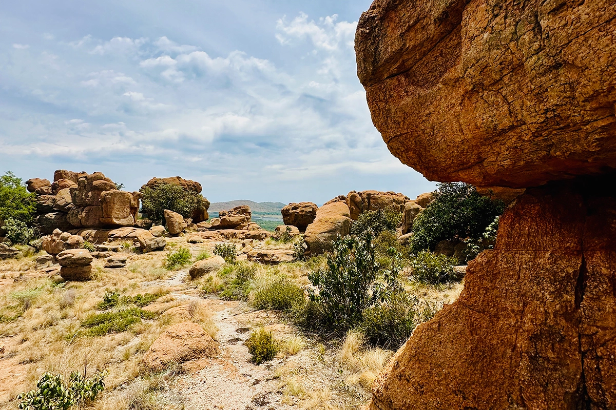 African Scuba and Safari